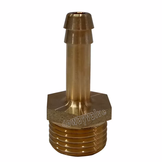 Gerade Schlauchkupplung aus poliertem Messing